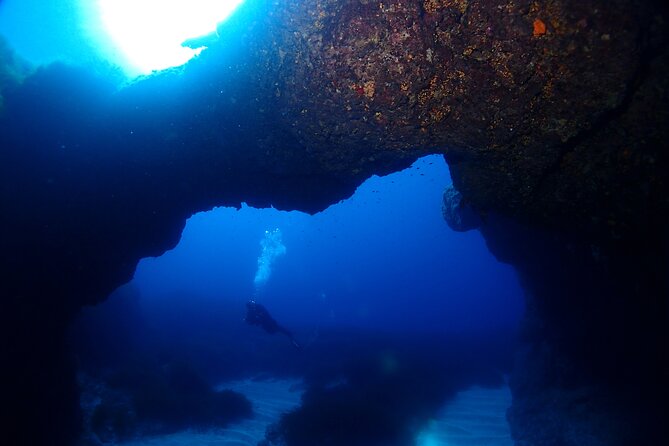 2 Scuba Fun Dives for Certified divers in St Paul's Bay - Is $118.35 a fair price?