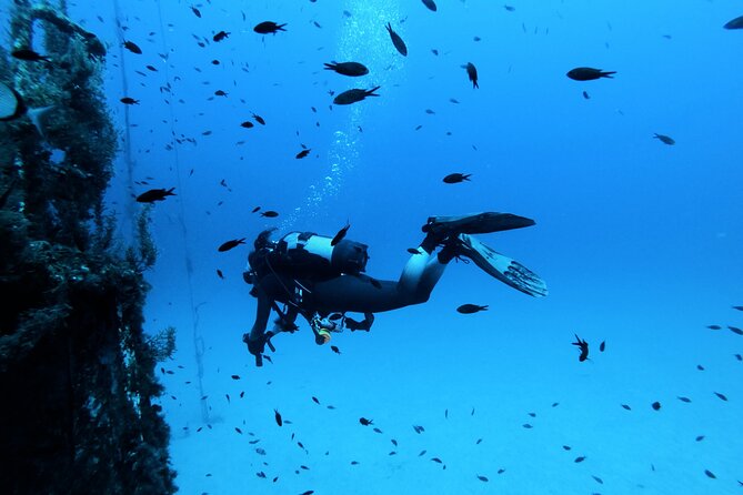 2 Scuba Fun Dives for Certified divers in St Paul's Bay - The first underwater session: settle into Malta’s conditions