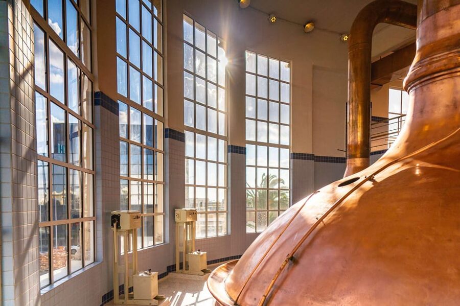Brewery Experience with Beer Tasting and Optional Transport - Three families and Malta’s beer story