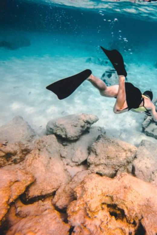DiveSnap Underwater Sports Thrills:Lantern Point & P31 Wreck - Key points to know