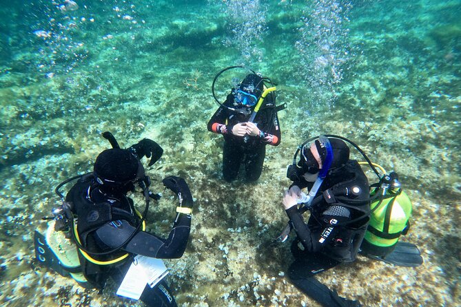 Diving experience in Malta - The short trip to Cirkewwa