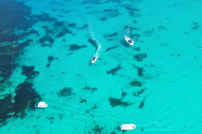 Family Private Boat Trip, Blue Lagoon, Malta, Comino & Gozo - Who will enjoy this boat trip most