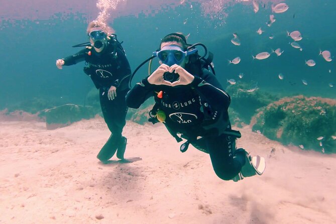 First scuba diving experience with instructor - Malta - Getting Started at DiveBase Malta in St. Paul’s Bay