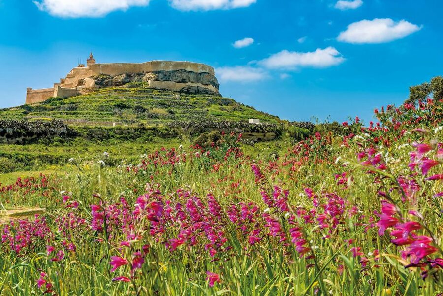 From Malta: Gozo Day Trip Including Ggantija Temples - Should you book it?