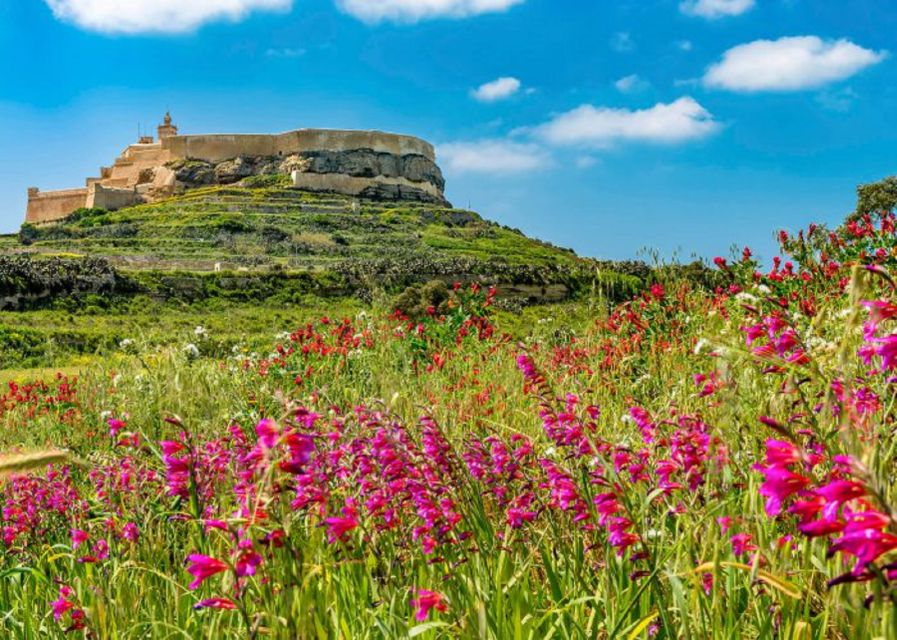 From Malta: Gozo Full-Day Tour with Guide, Temples, & Train - Key points at a glance