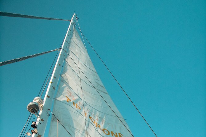 Full-Day Catamaran Cruise with Lunch in Island of Malta - The first sail and the Maltese platter