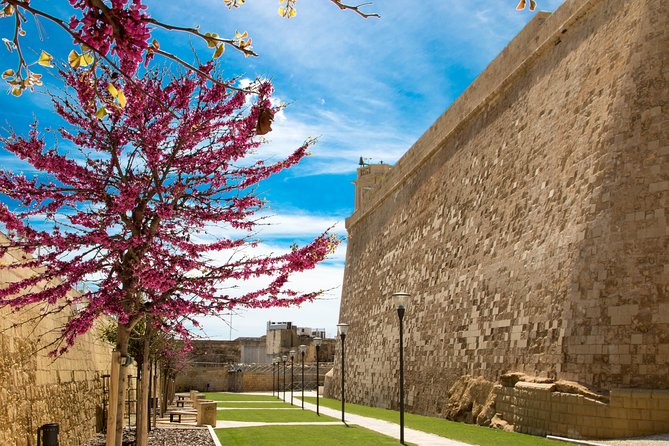 Gozo & Comino Islands, Blue Lagoon & Seacaves Tour - Victoria and the Citadel on a tight clock