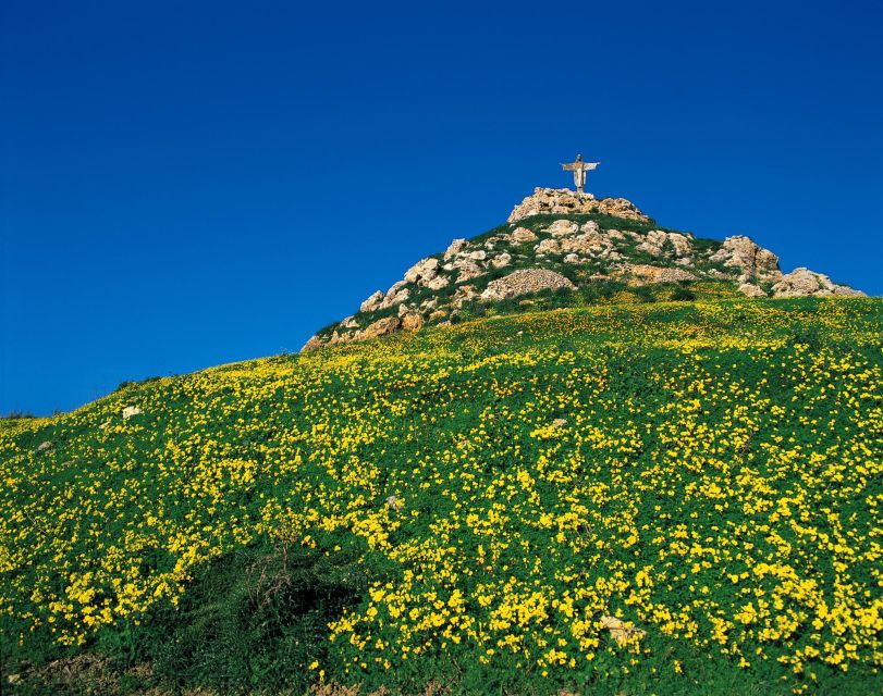 Gozo Day Pass Ferry and Hop-on Hop-off buses with audio Tour - What this Gozo pass really gives you