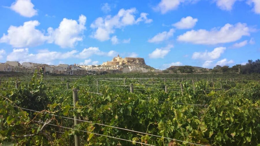 Gozo Victoria Walking Tour - Walking through Victoria’s everyday center