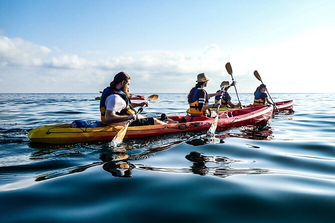 Guided Kayak Tour in St Paul's Island - How demanding is the paddle?