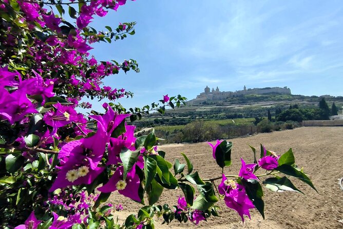 Island Day Tour with a Private Local Driver - Rabat: Roman remains and early Christian Malta
