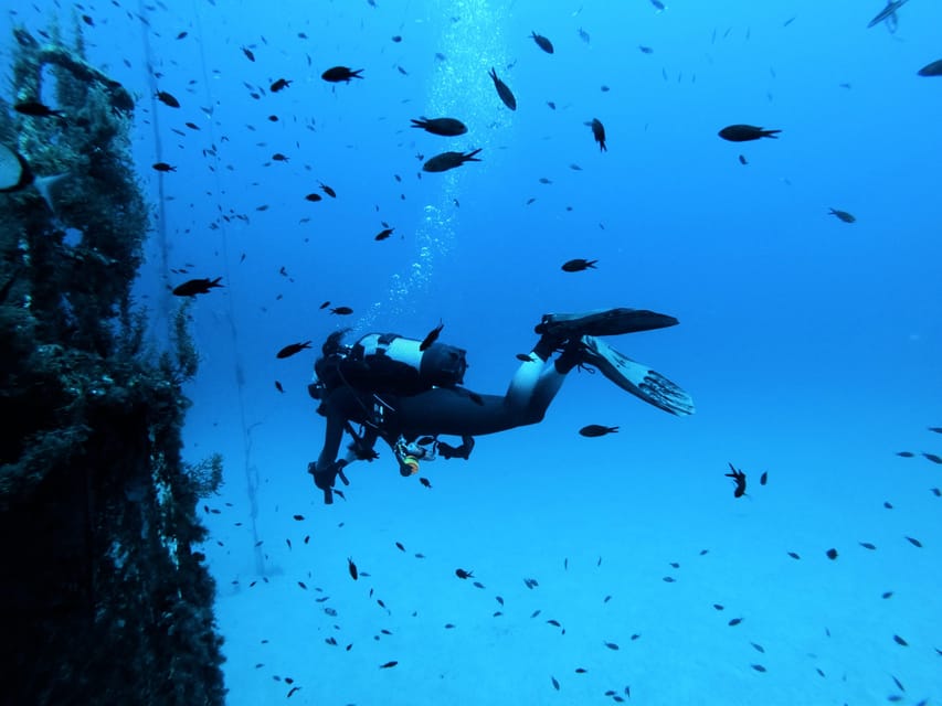Malta: 2 Scuba Fun Dives for Certified divers - Key details before you book