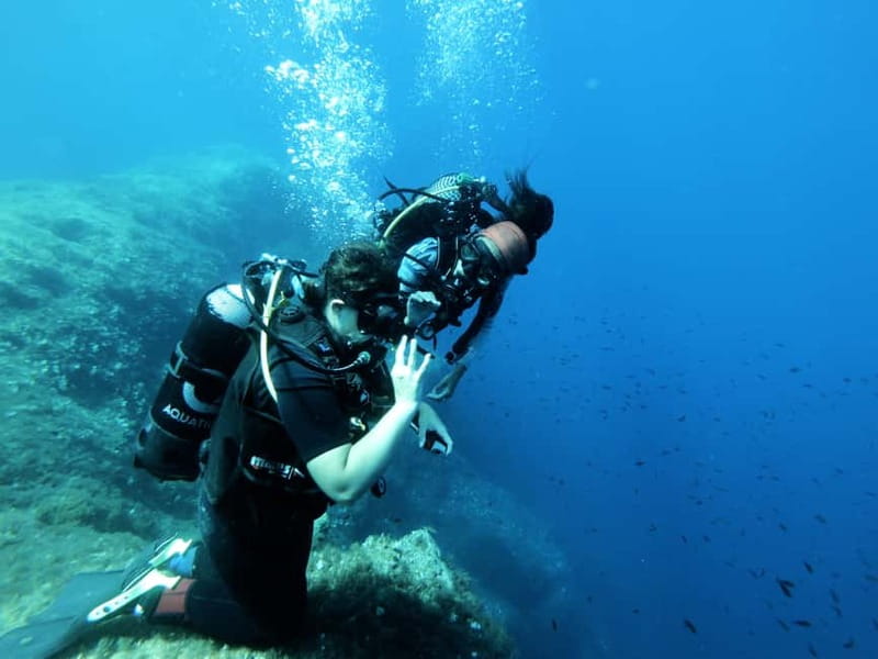 Malta: First Experience Scuba Diving Lesson - Complete the online theory before arriving