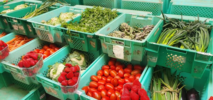 Malta: Mdina and Rabat Food Tour - Should you book the Mdina and Rabat food tour?