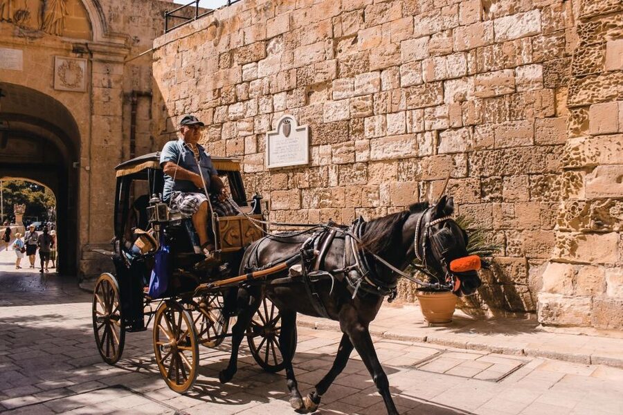 Malta: Mdina, Dingli Cliffs and San Anton Botanical Gardens - What the guide adds to the day