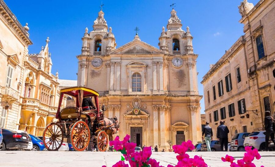 Malta: Mdina, Dingli Cliffs and San Anton Botanical Gardens - Pickup, transport, and timing