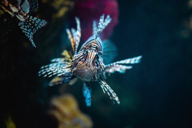 Malta National Aquarium Entrance Ticket - What the visit is like for children