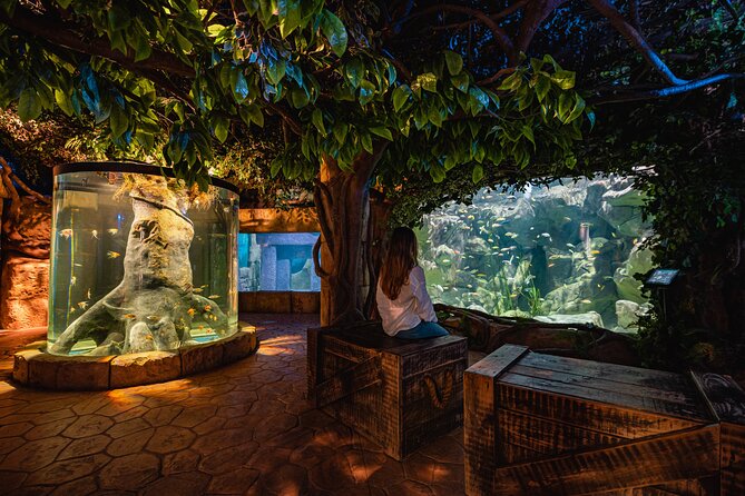 Malta National Aquarium Entrance Ticket - What you see in the 52 tanks