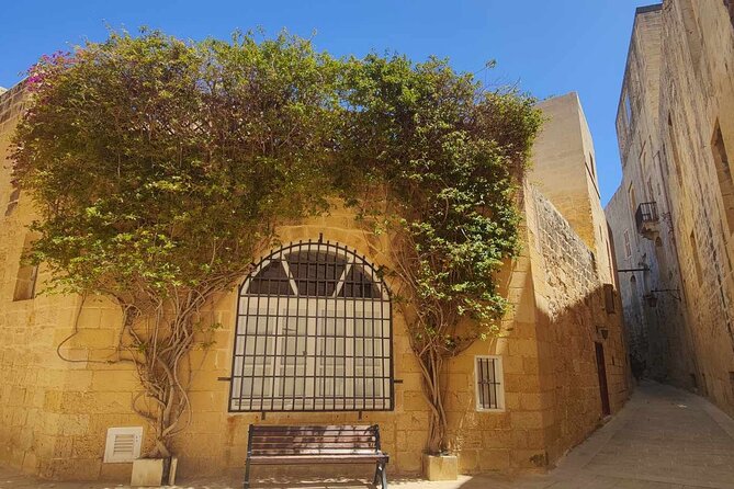 Mdina and Rabat Tour with a local licensed guide - Who should book this walk?