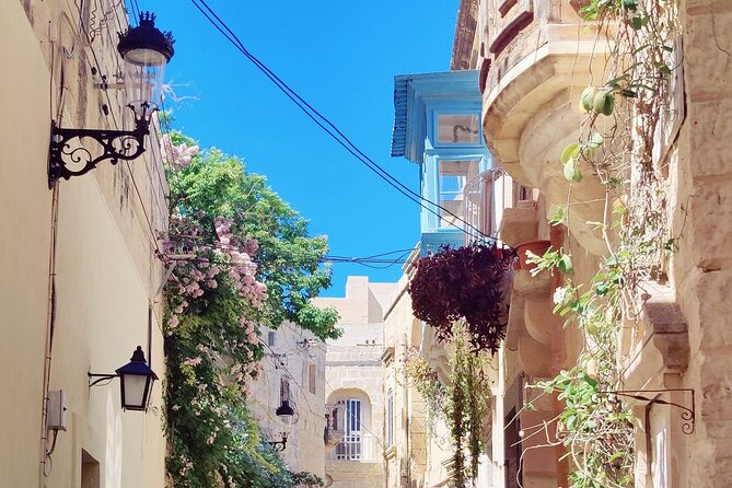 Mdina and Rabat Tour with a local licensed guide - A guide who adjusts to your questions
