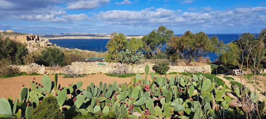 North Malta: Quad Bike Tour with Scenic Land, Sea & Swimming - Armier Bay: the tour’s best chance to cool off