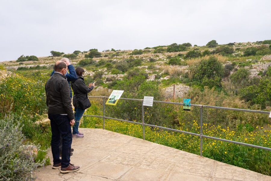 Prehistoric Temples of Malta Tour - Transport, pickups, and the morning schedule