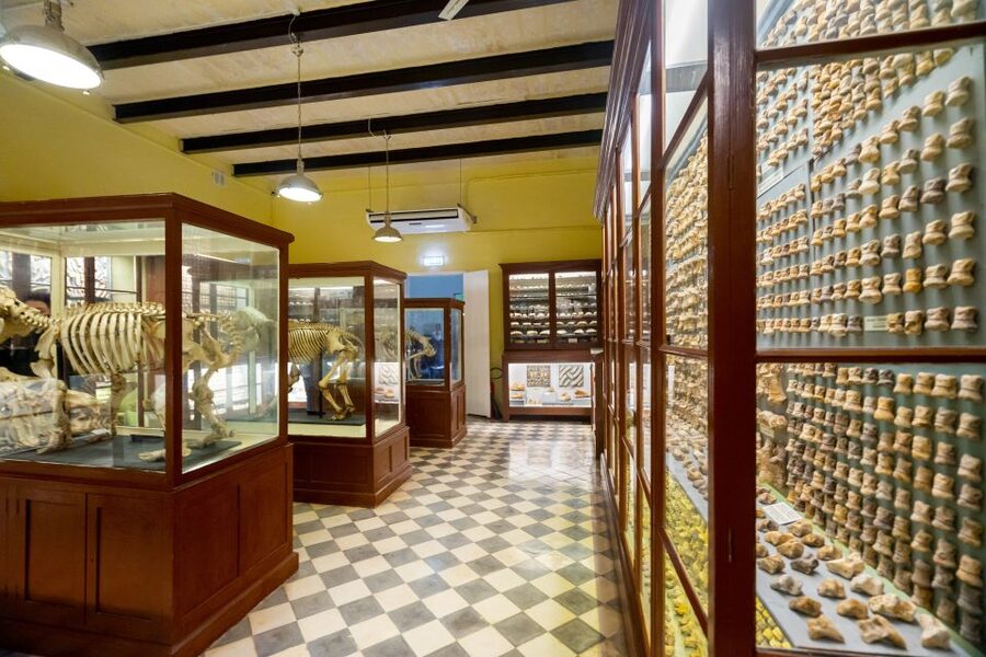 Prehistoric Temples of Malta Tour - Who will enjoy this tour most