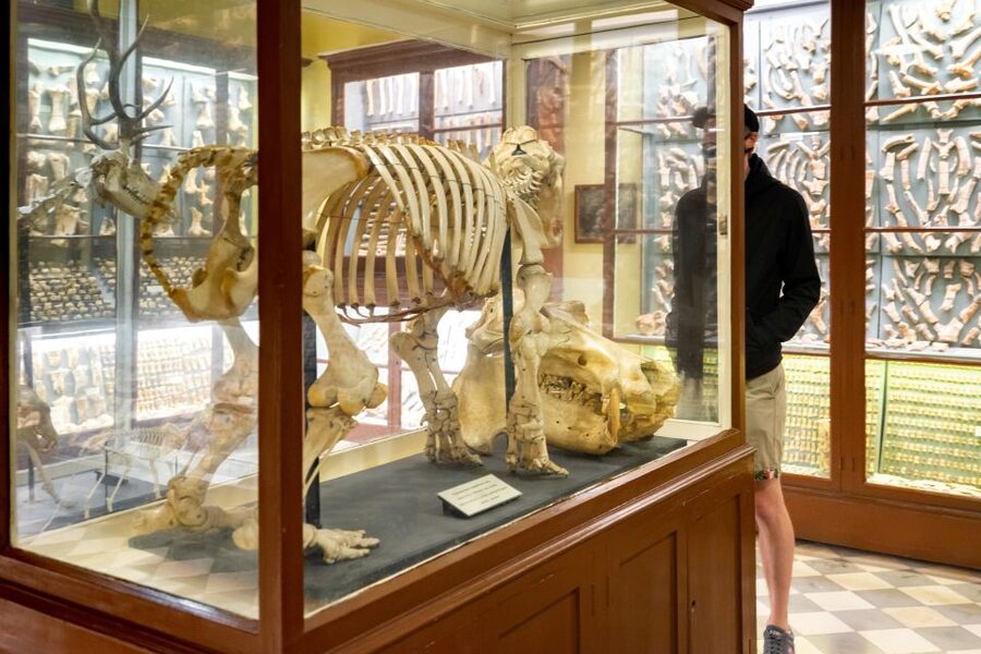 Prehistoric Temples of Malta Tour - Should you book the prehistoric temples tour?