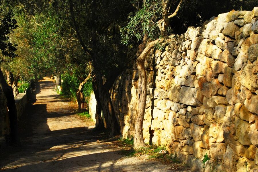 Scenic Tour by Vintage Bus to Buskett Garden & Dingli Cliffs - Palazzo Falson and Mdina’s older layers