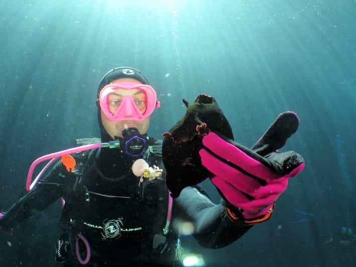 SSI Try Scuba Diving in the sea - A first look at Malta beneath the surface