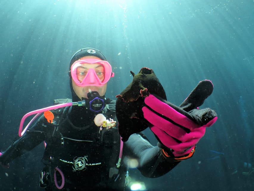 SSI Try Scuba Diving in the sea - Should you book the SSI Try Scuba session?