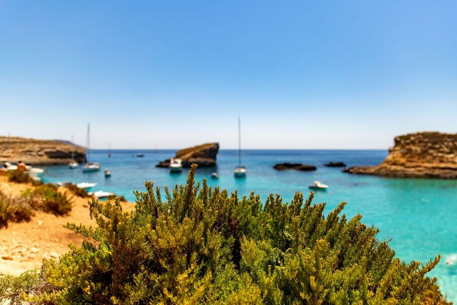 St Paul's Bay: Comino, Blue Lagoon, Gozo, & Caves Boat Tour - Santa Maria and Crystal Lagoon Caves