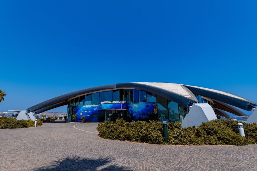 St Paul's Bay: Malta National Aquarium Entry Ticket - The First Tanks: Malta Underwater
