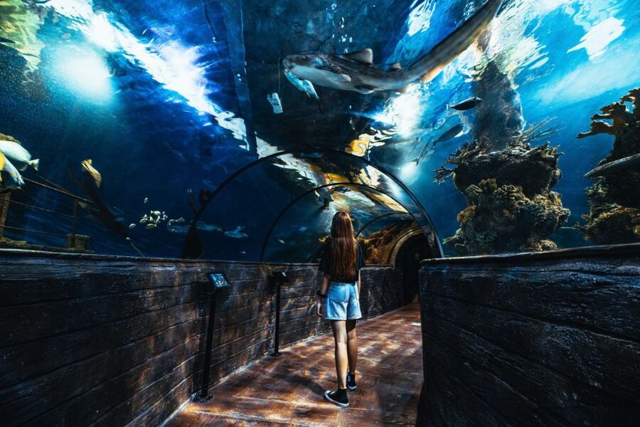 St Paul's Bay: Malta National Aquarium Entry Ticket - Food, Shopping, and the Area Around the Aquarium