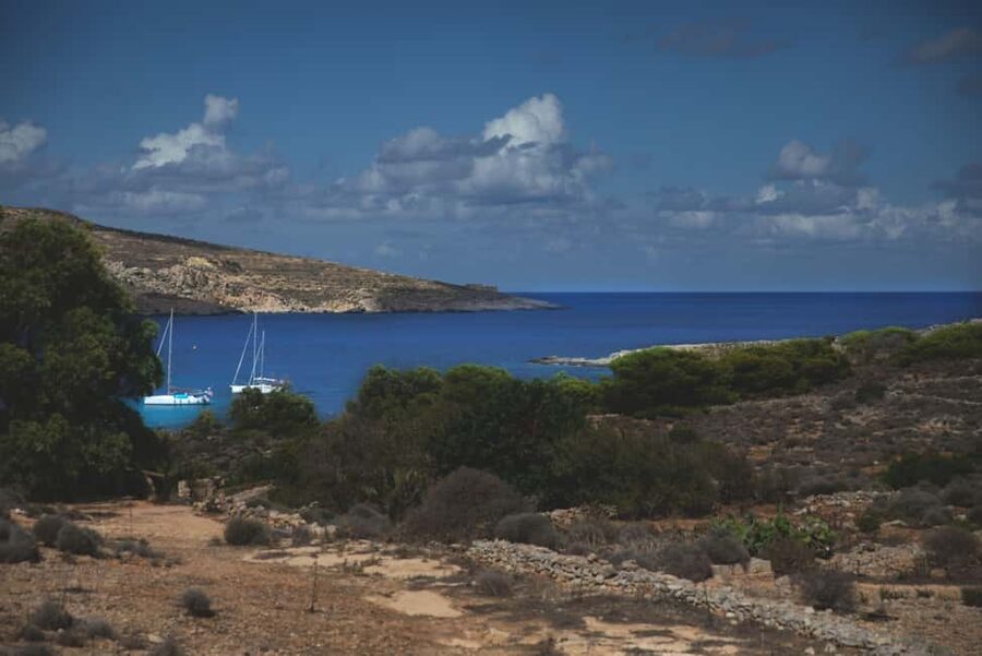 St Pauls: Gozo & Comino Islands, Blue Lagoon & Seacaves Tour - Who will enjoy this boat day most