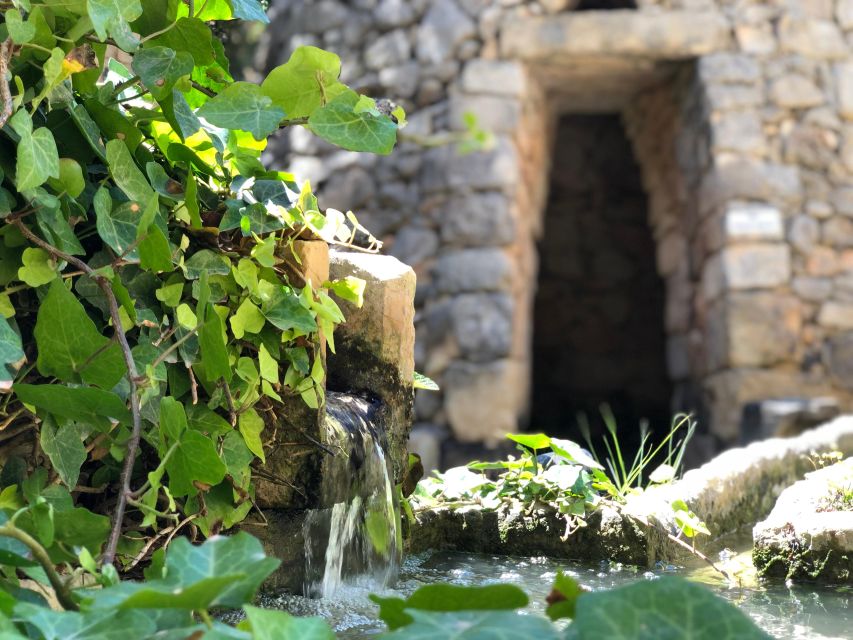 The Limestone Heritage Park and Gardens (Entry Ticket) - Following the 17-language audio walk