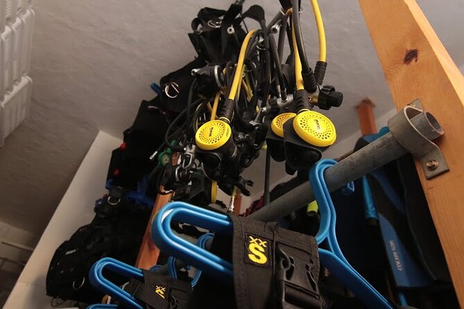 Two Morning Dives in Gozo for Certified Diver - Starting at 8 AM in Marsalforn