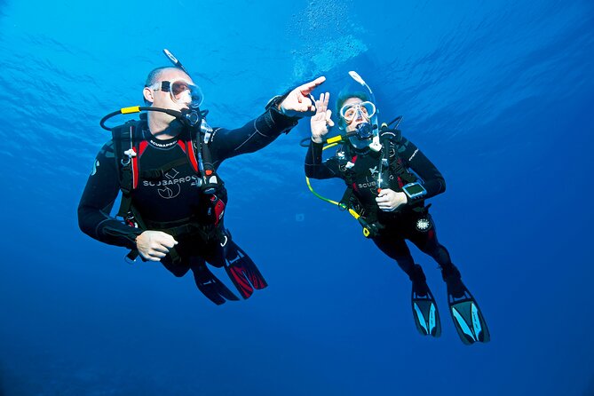 Two Morning Dives in Gozo for Certified Diver - The second session in the same Gozo area