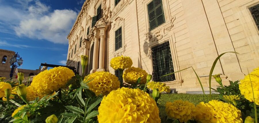 Valletta: City Walking Tour in a Small Group - Republic Street and the palaces of the Knights