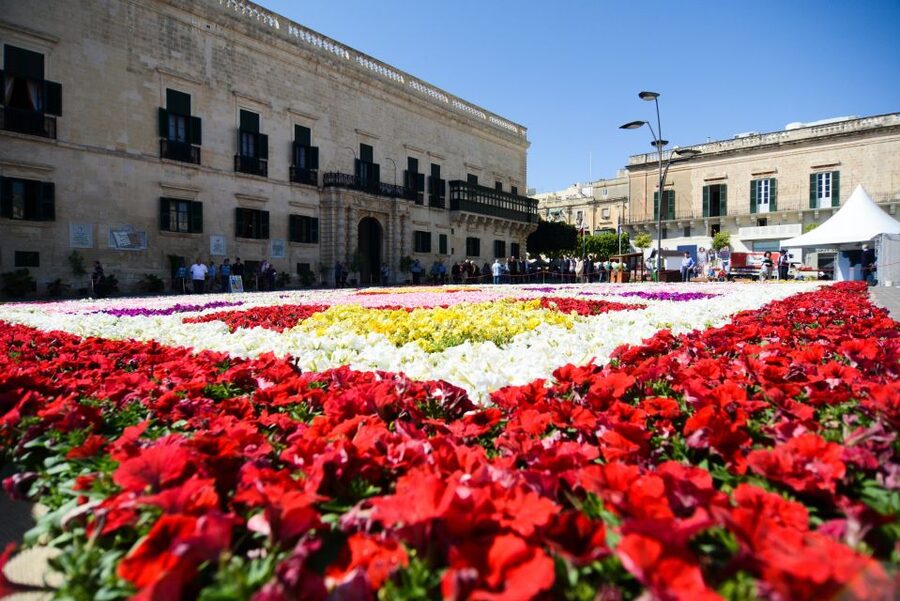 Valletta: Guided City Walking Tour - Barracca Gardens and Grand Harbour views