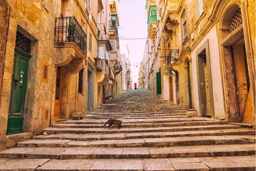 Valletta : Highlights & Hidden Gems Walking Tour - Upper Barrakka Gardens and the best view on the route