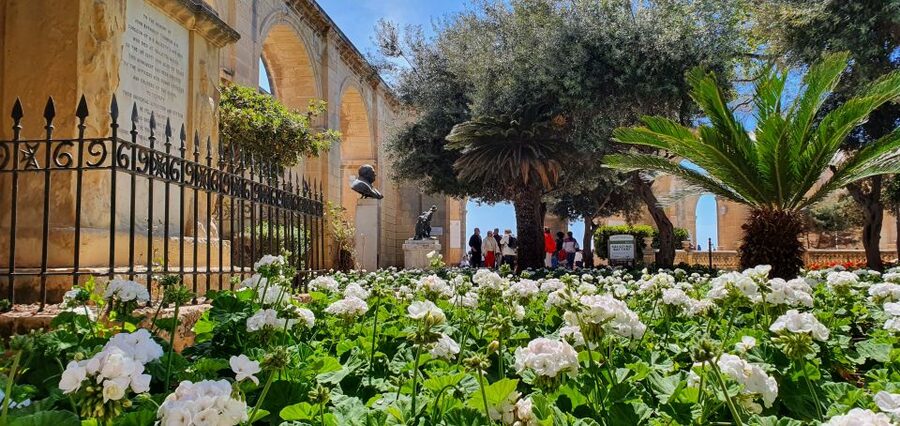 Valletta: Private Maltese Cuisine Walking Tour - Rabbit, wine, and a proper Maltese meal