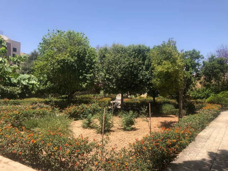 Visit Tarxien Temples, Kalanka Bay, Blue Grotto, Marsaxlokk - Zejtun, the town of Città Beland